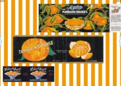 A collection of Canned Food Labels