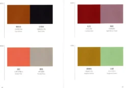 A Dictionary of Color Combinations Vol. 1