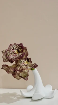 Arita: S&B Lily Flower Vase White