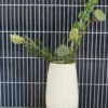 ASA Vase
