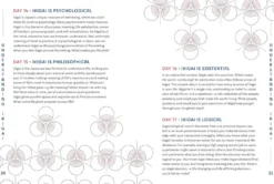 A year of Ikigai