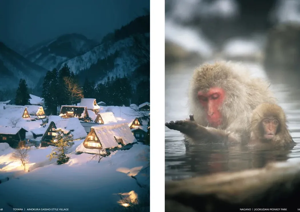 Coffee table book - Japanism
