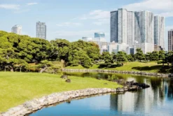 Coffee table book - Tokyo Guide