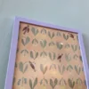 Fugle og mælkebøtter i lavendel ramme