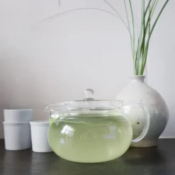 HARIO Teapot Cha Cha Kyusu Maru - 450 ml