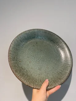 Japansk rustikt grønt fad