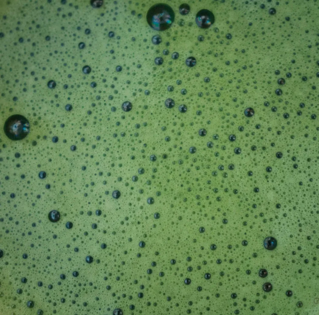 Martinys - matcha starter kit