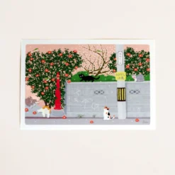 Postkort - Katte leger i gaden
