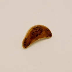 Spisepindeholder - Gyoza Stegt