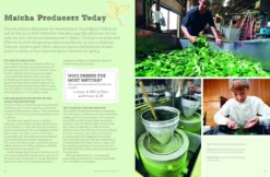 The Book of Matcha