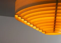 Vaarnii - 1005 Hans Ceiling Light